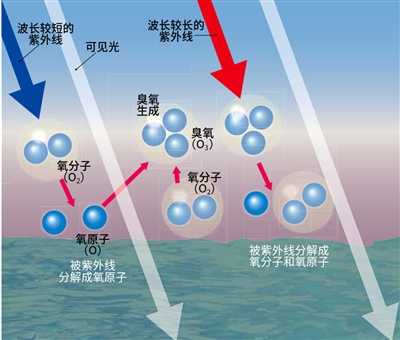 科普时报-数字报